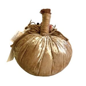 CUPCAKES AND CAAHMERE➕NWT Velvet Embellished Pumpkin